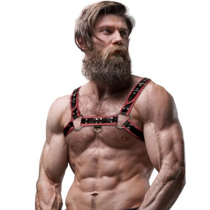 Arnês Peitoral Fetish Submissive Attitude - Bulldog Vermelho