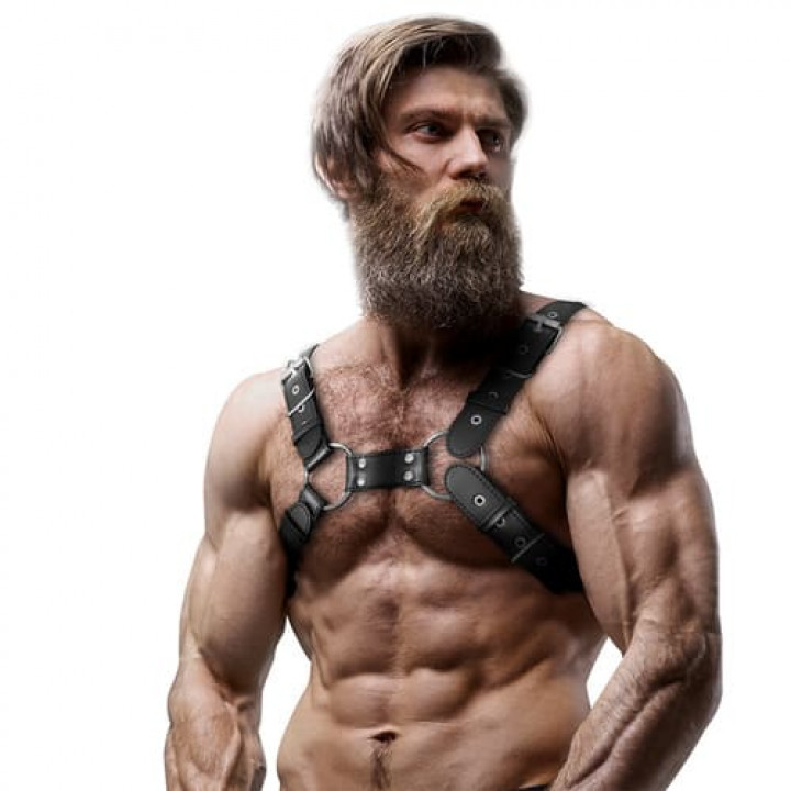 Arnês Peitoral Fetish Submissive Attitude - Bulldog