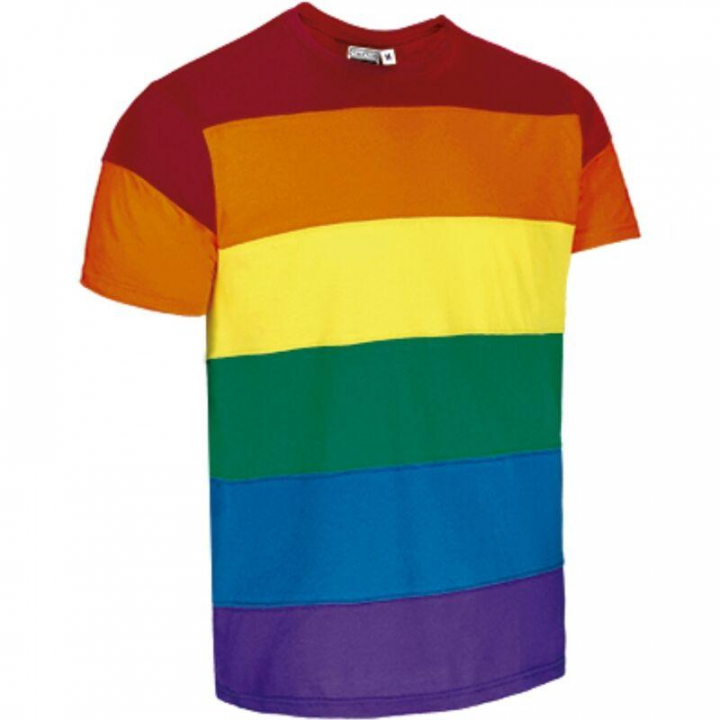 PRIDE - T-Shirt Bandeira LGBTQIA+   ( S )